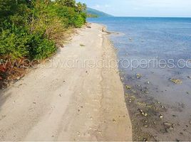 Land for sale in Puerto Princesa City, Mimaropa, Puerto Princesa City, Palawan, Mimaropa