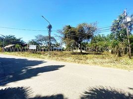  Land for sale in Puerto Princesa City, Mimaropa, Puerto Princesa City, Palawan, Mimaropa