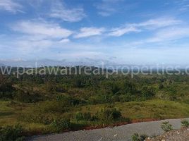  Land for sale in Puerto Princesa City, Mimaropa, Puerto Princesa City, Palawan, Mimaropa