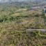  Land for sale in Puerto Princesa City, Mimaropa, Puerto Princesa City, Palawan, Mimaropa