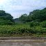  Land for sale in Tiaong, Quezon, Tiaong