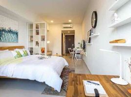 1 Phòng ngủ Chung cư for rent in Phường 12, TP.Hồ Chí Minh, Phường 12