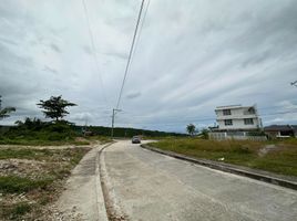  Land for sale in Talisay City, Central Visayas, Talisay City