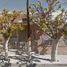 3 Schlafzimmer Haus zu verkaufen in Juarez, Chihuahua, Juarez