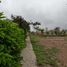  Terreno (Parcela) en venta en San Luis, Cañete, San Luis