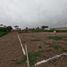  Terreno (Parcela) en venta en San Luis, Cañete, San Luis