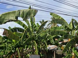  Land for sale in Liloan, Central Visayas, Liloan