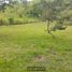  Land for sale in San Martin, Cacatachi, San Martin, San Martin