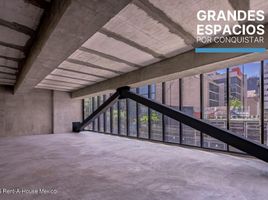 298 m2 Office for rent in Miguel Hidalgo, Mexico City, Miguel Hidalgo