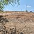  Land for sale in Montecristi, Montecristi, Montecristi