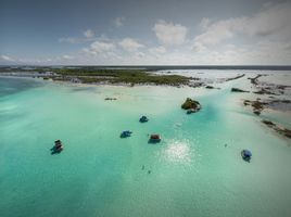  Grundstück zu verkaufen in Othon P Blanco, Quintana Roo, Othon P Blanco