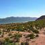  Grundstück zu verkaufen in Mulege, Baja California Sur, Mulege