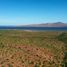  Grundstück zu verkaufen in Mulege, Baja California Sur, Mulege