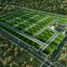  Land for sale in Miacatlan, Morelos, Miacatlan