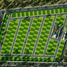  Land for sale in Miacatlan, Morelos, Miacatlan
