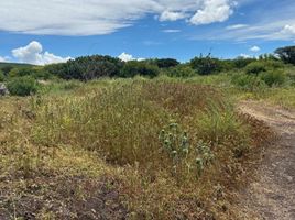  Grundstück zu verkaufen in Corregidora, Queretaro, Corregidora