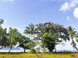  Grundstück zu verkaufen in Palawan, Mimaropa, Quezon