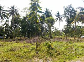  Grundstück zu verkaufen in Palawan, Mimaropa, Quezon