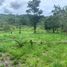  Land for sale in Puerto Napo, Napo, Puerto Napo, Tena