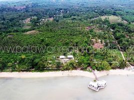  Grundstück zu verkaufen in Palawan, Mimaropa, Quezon