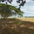  Terreno (Parcela) en venta en Binan City, Calabarzon, Binan City