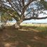  Terreno (Parcela) en venta en Binan City, Calabarzon, Binan City