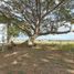  Terreno (Parcela) en venta en Binan City, Calabarzon, Binan City
