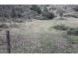  Land for sale in Victoria Del Portete Irquis, Cuenca, Victoria Del Portete Irquis