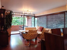 4 Bedroom Apartment for rent in Bare Foot Park (Parque de los Pies Descalzos), Medellin, Medellin