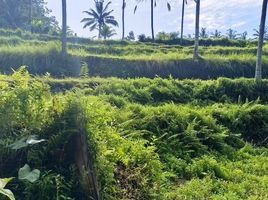  Grundstück zu verkaufen in Gianyar, Bali, Tegallalang