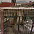 2 Schlafzimmer Villa zu verkaufen in Tlalmanalco, Mexico, Tlalmanalco