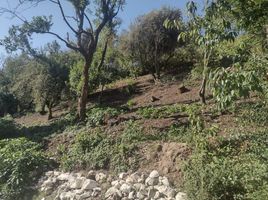  Grundstück zu verkaufen in Pachuca De Soto, Hidalgo, Pachuca De Soto