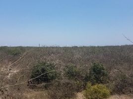  Land for sale in San Lorenzo, Manta, San Lorenzo