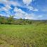  Land for sale in Moniquira, Boyaca, Moniquira