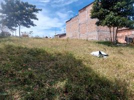  Land for sale in Cauca, Popayan, Cauca