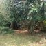  Land for sale in Cauca, Popayan, Cauca