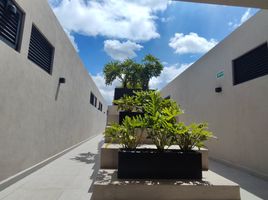 2 Schlafzimmer Wohnung zu verkaufen in Alvaro Obregon, Mexico City, Alvaro Obregon