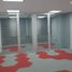 45 m2 Office for rent in Miguel Hidalgo, Mexico City, Miguel Hidalgo
