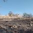  Land for sale in Temixco, Morelos, Temixco
