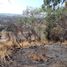 Land for sale in Temixco, Morelos, Temixco