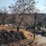  Land for sale in Temixco, Morelos, Temixco