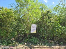 Grundstück zu verkaufen in Yaxkukul, Yucatan, Yaxkukul