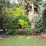 2 Bedroom House for sale in Alvaro Obregon, Mexico City, Alvaro Obregon, Mexico City