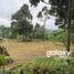  Land for rent in Tegallalang, Bali, Tegallalang, Gianyar, Bali