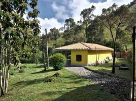 3 Schlafzimmer Haus zu verkaufen in La Ceja, Antioquia, La Ceja