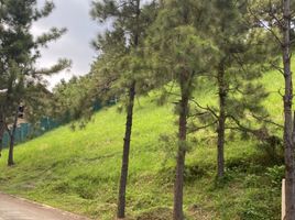  Land for sale in Cavite, Calabarzon, Tagaytay City, Cavite