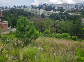  Land for sale in Morelia, Michoacan, Morelia