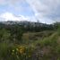  Land for sale in Morelia, Michoacan, Morelia