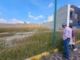  Grundstück zu verkaufen in Morelia, Michoacan, Morelia