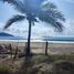  Land for sale in Jose Azueta, Guerrero, Jose Azueta, Guerrero